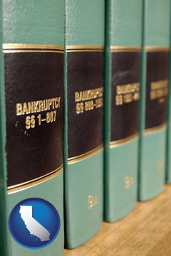 bankruptcy law books - with California icon