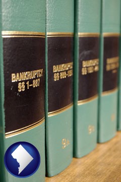 bankruptcy law books - with Washington, DC icon