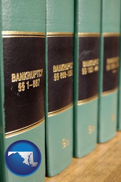 bankruptcy law books - with Maryland icon