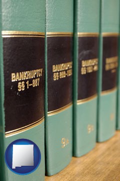 bankruptcy law books - with New Mexico icon